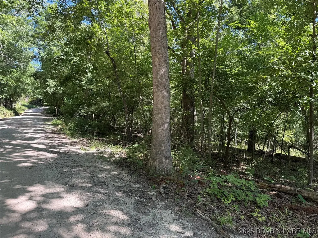 TBD Lot #2 Bowers Drive, Camdenton, MO 65020 - Image #1