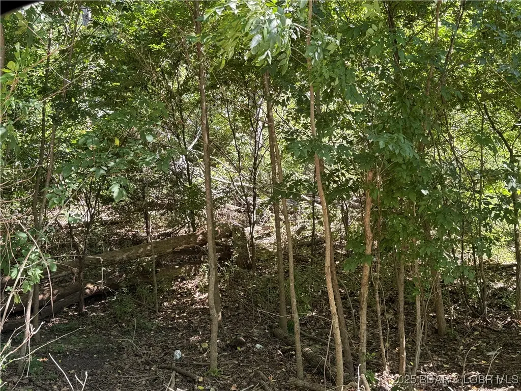 TBD Lot #4 Skipper Lane, Camdenton, MO 65020 - Image #1