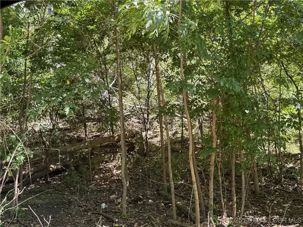 TBD Lot #4 Skipper Lane, Camdenton, MO 65020