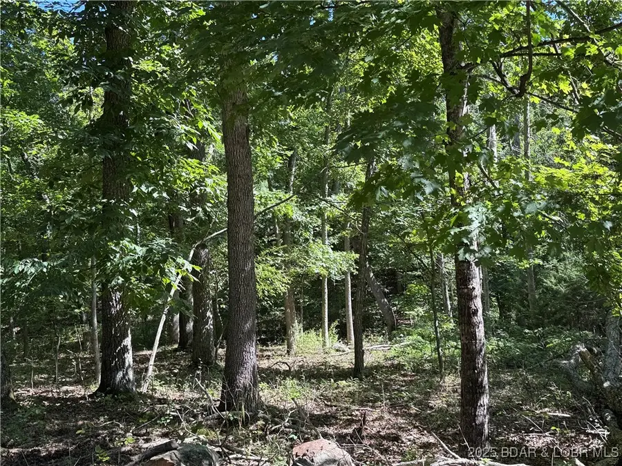 TBD Lot #4 Skipper Lane, Camdenton, MO 65020 - Image #3