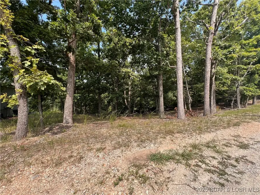 Lot 630 Eagle Drive, Village Of Four Seasons, MO 65049 - Image #3