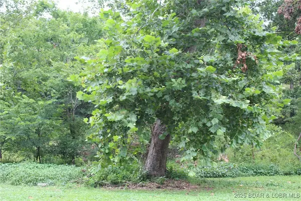 Lot B-1 Pinkie Lane, Laurie, MO 65079