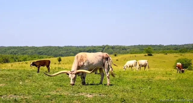 TBD County Side Road, Iberia, MO 65486 - Image #2