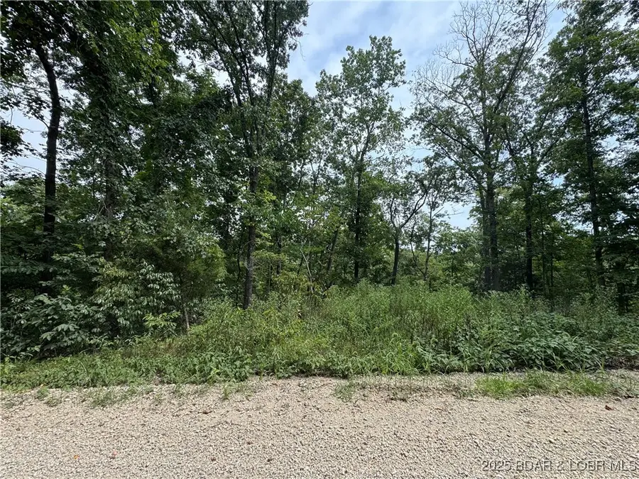 Cook Road, Gravois Mills, MO 65037 - Image #2