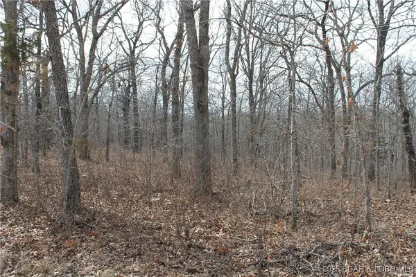 Anne Drive #1786, Edwards, MO 65326