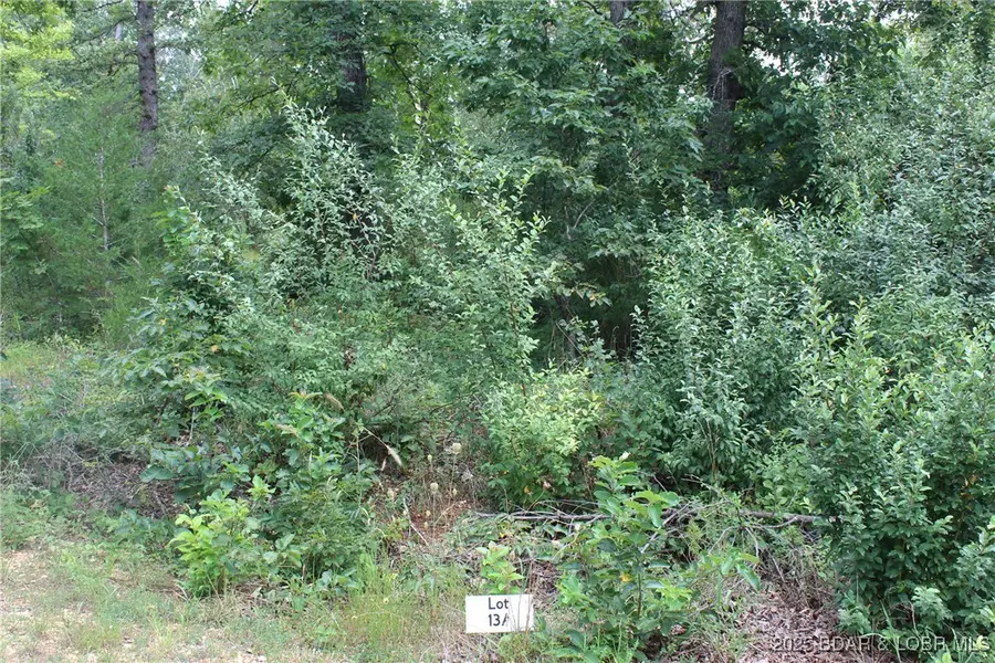 Lot 13 Pinkie Lane, Laurie, MO 65037 - Image #2