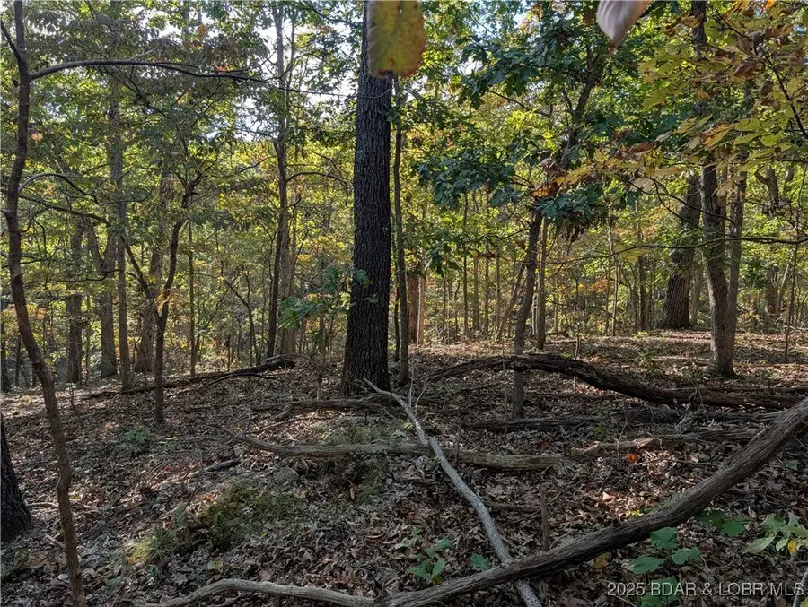 TBD N State Hwy 5 Highway, Sunrise Beach, MO 65079 - Image #3