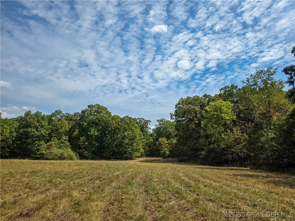 68 Acres Bethlehem Road, Cole Camp, MO 65325 - #1
