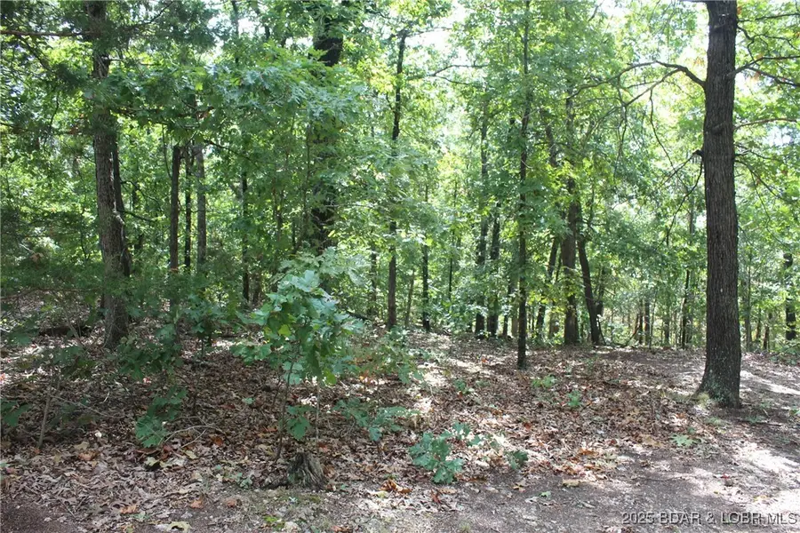 24560 135 Highway, Stover, MO 65078 - Image #2