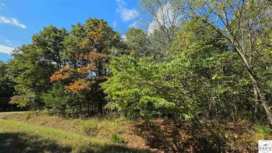 2172 Fay Place, Edwards, MO 65326 - Image #3