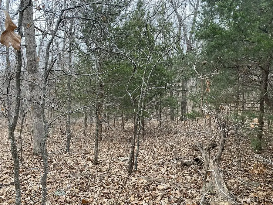 27191 135 Highway, Gravois Mills, MO 65037 - Image #3