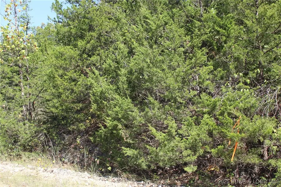 Lots 121 & 122 Apache Lane, Rocky Mount, MO 65072 - Image #3