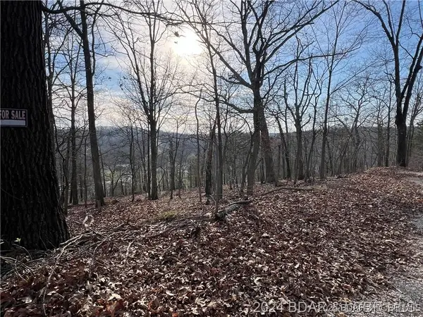 Address Withheld By Seller, Camdenton, MO 65020