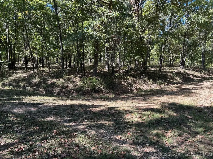 Off Kip Drive, Edwards, MO 65326 - #2