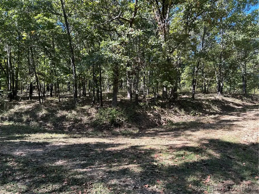 Off Kip Drive, Edwards, MO 65326 - #3