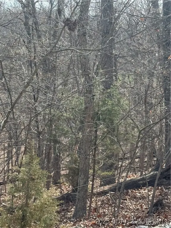 Lot 479 Parker Pt., Village Of Four Seasons, MO 65049 - Image #2