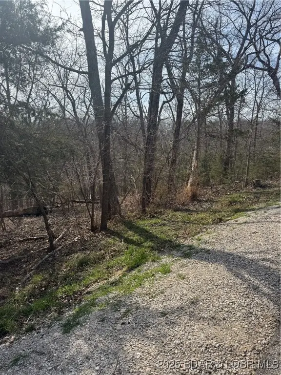 Lot 979 Bobcat, Village Of Four Seasons, MO 65049 - Image #1
