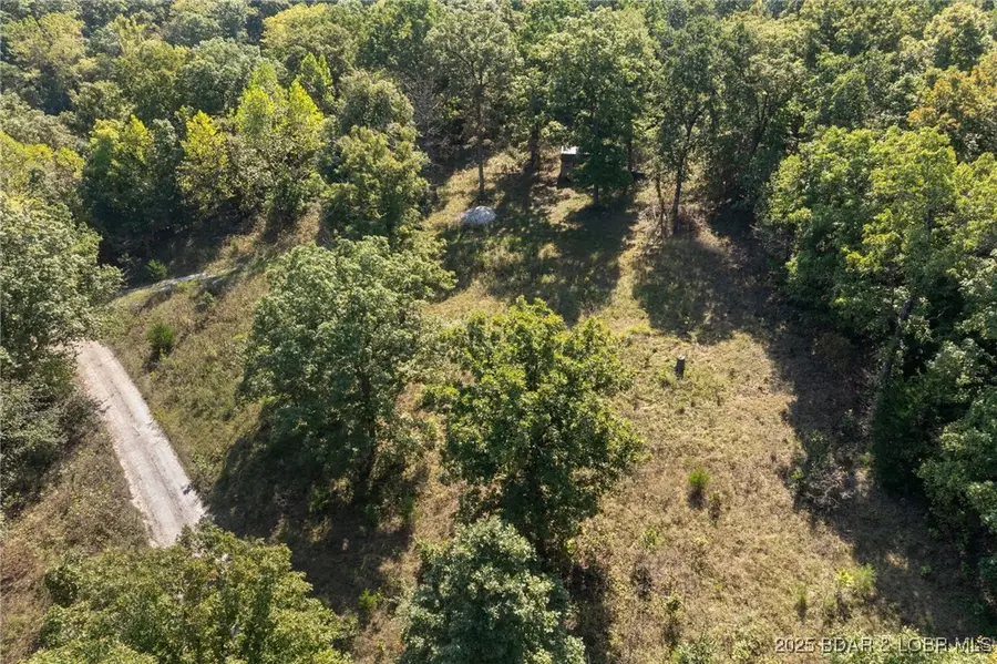 90 Pleasant Hollow Lane, Camdenton, MO 65020 - Image #3