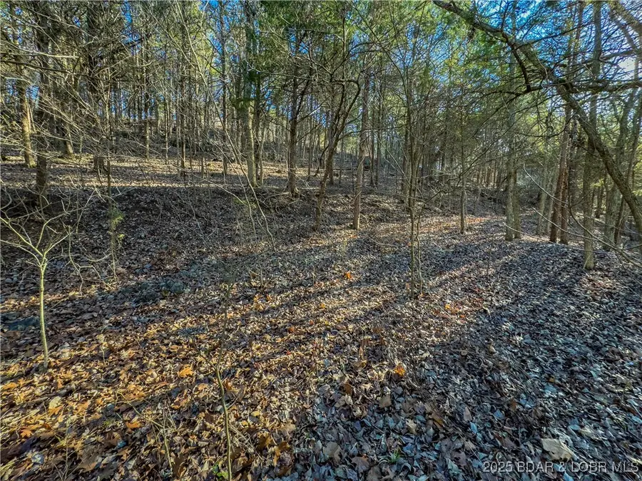 Lot 26 Country Ridge Road, Camdenton, MO 65020 - Image #2
