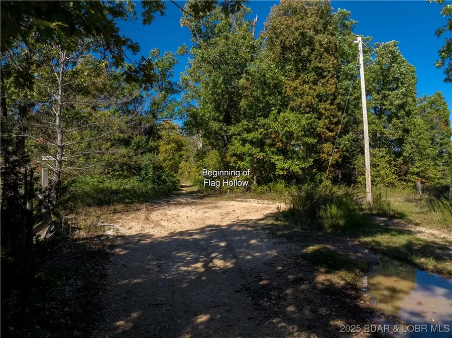 TBD Flag Hollow Road, Montreal, MO 65591 - Image #2