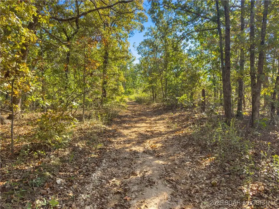 TBD Flag Hollow Road, Montreal, MO 65591 - Image #3