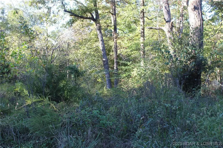 Dogwood Drive, Stover, MO 65078 - Image #3