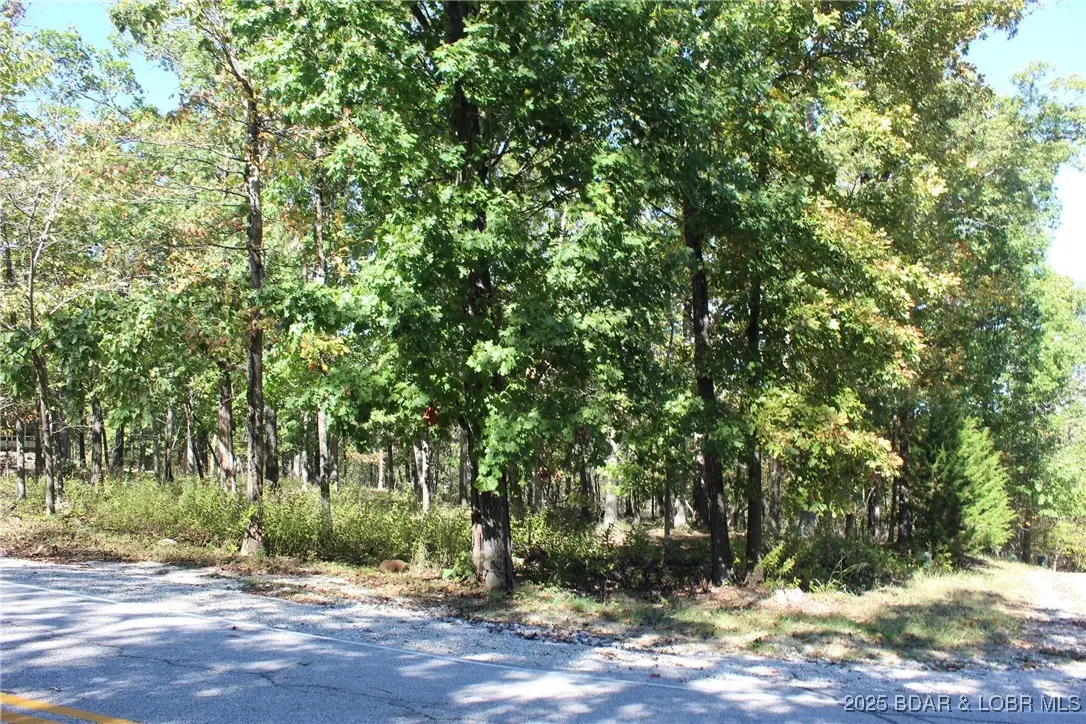 Lot 1241 Woodhaven Circle, Village Of Four Seasons, MO 65049 - Image #1