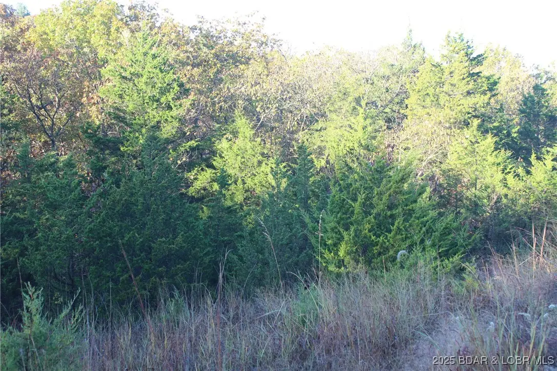 26456 Niagra Drive, Rocky Mount, MO 65072 - #1