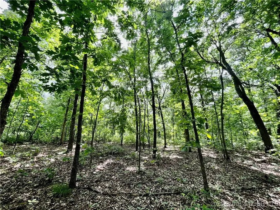 tbd 20.79 acres Lake Forest Estates Road, Stover, MO 65078 - Image #2