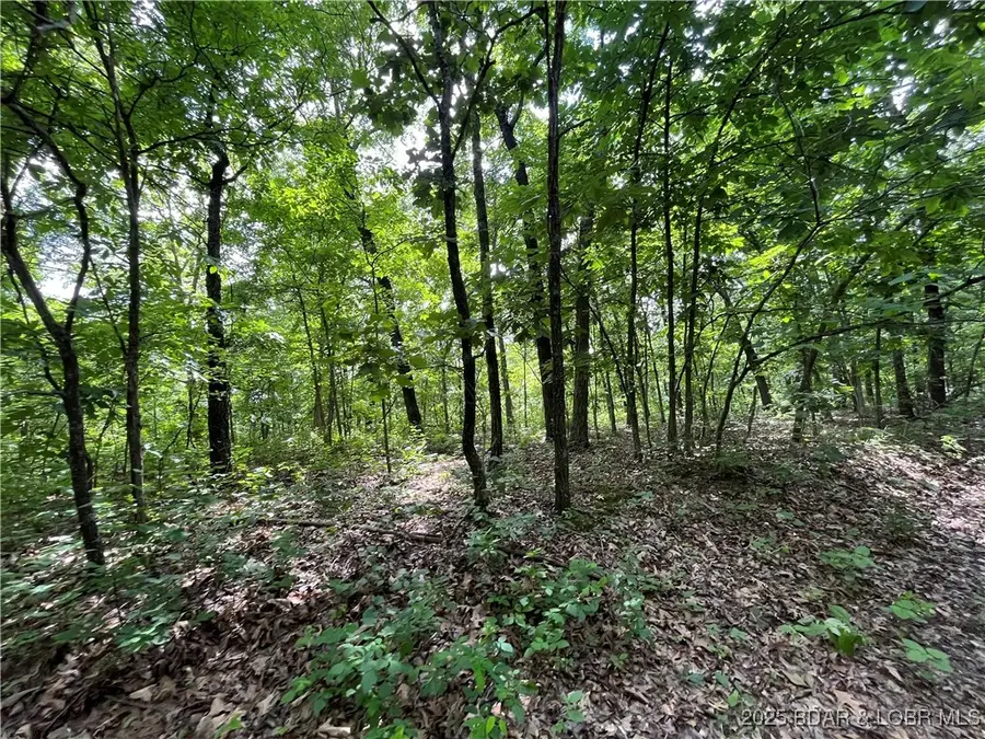 tbd 20.79 acres Lake Forest Estates Road, Stover, MO 65078 - Image #3