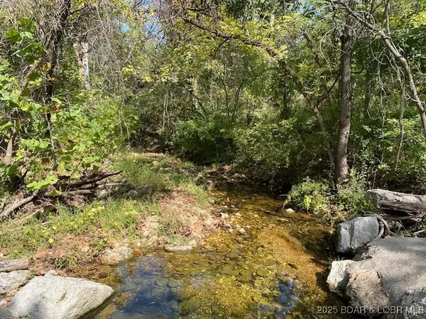 TBD Possum Hollow Drive, Camdenton, MO 65020