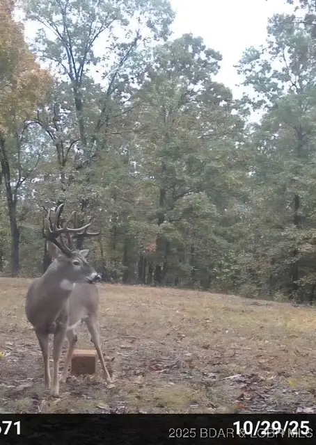 TBD Goldie Bend Road, Camdenton, MO 65020 - Image #2