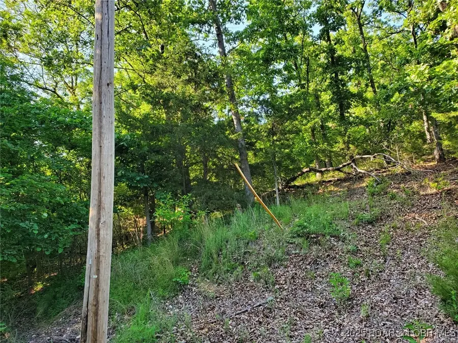 Alcorn Hollow Road, Roach, MO 65787 - Image #3