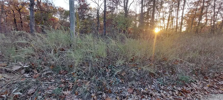 4268 Saw Mill Road, Buffalo, MO 64078 - Image #3