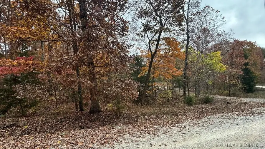 Henry Arces Road, Lincoln, MO 65338 - Image #2