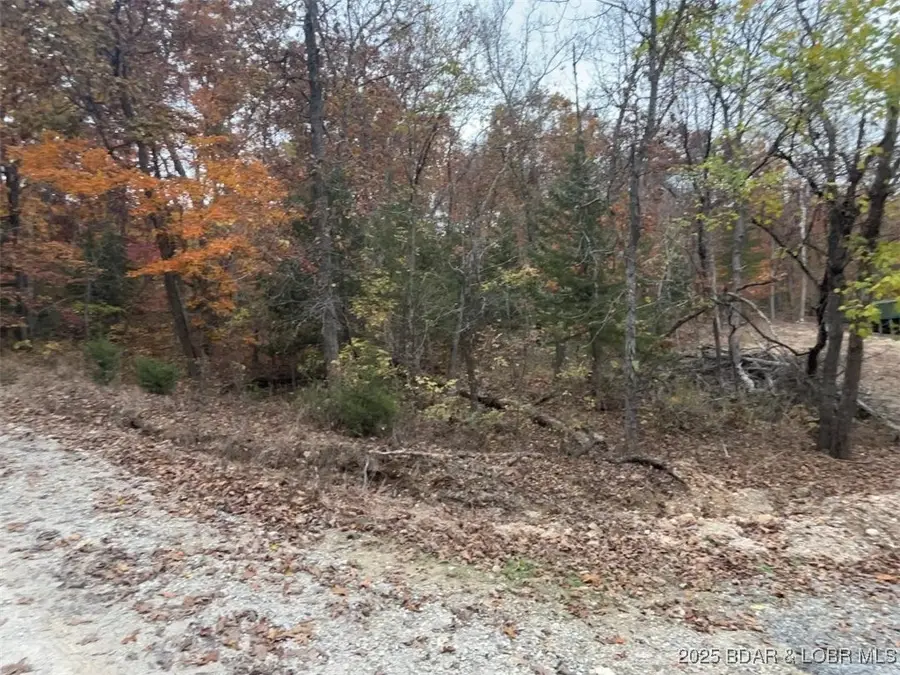 Henry Arces Road, Lincoln, MO 65338 - Image #3