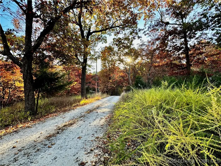 lot 20 Lake Horizons Road, Gravois Mills, MO 65037 - Image #2