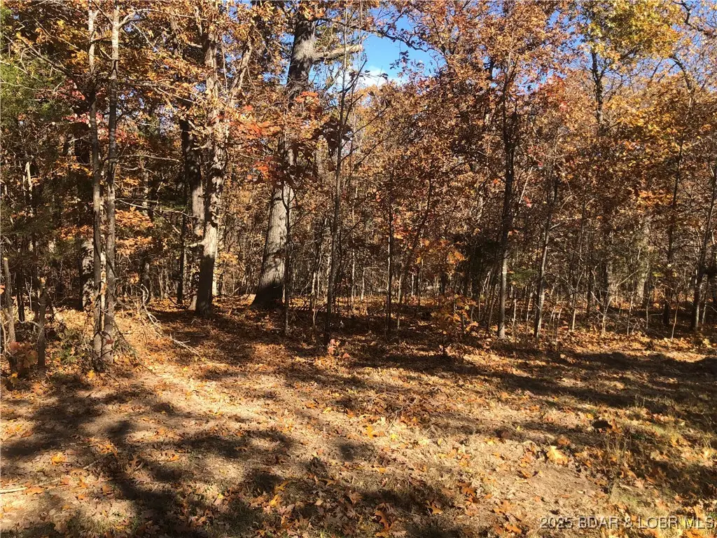 Long Hollow Rd, Versailles, MO 65084 - Image #1