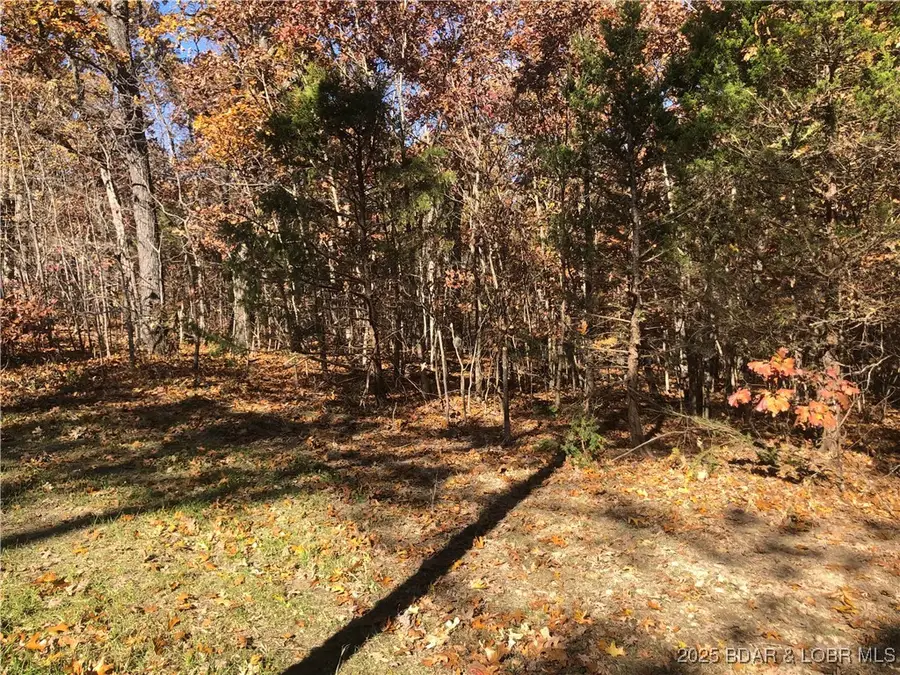 Long Hollow Rd, Versailles, MO 65084 - Image #2