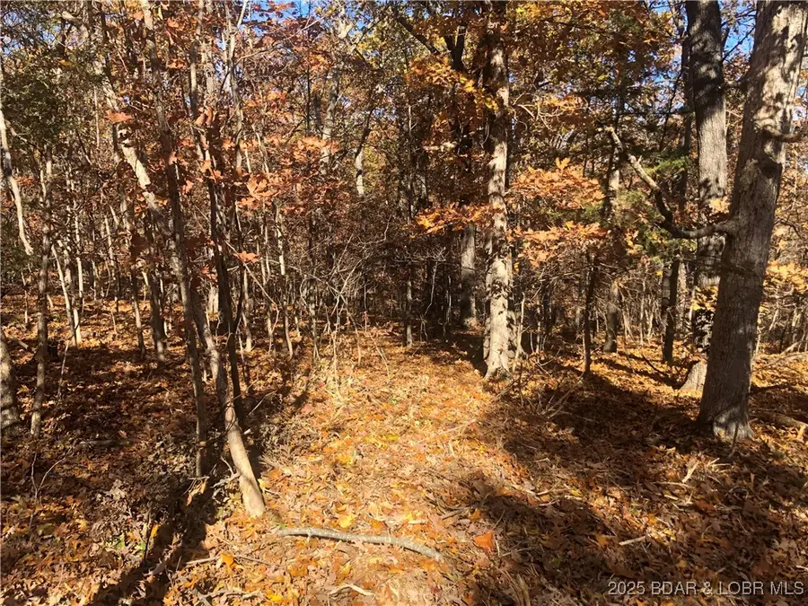 Long Hollow Rd, Versailles, MO 65084 - Image #3