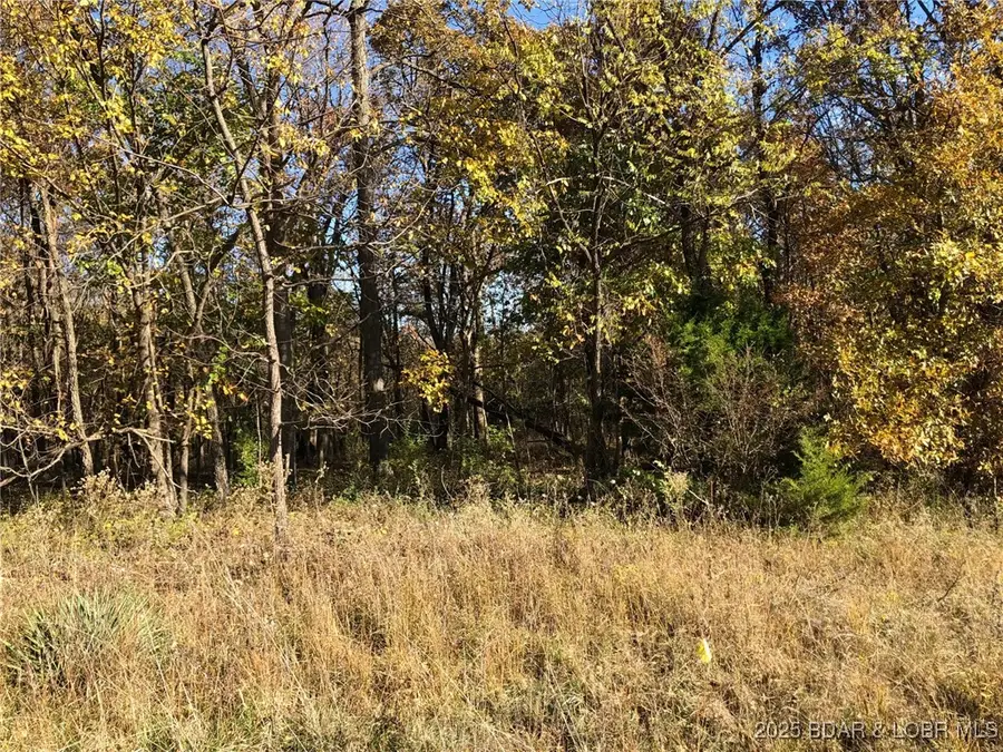 South Van Buren Street, Versailles, MO 65084 - Image #2