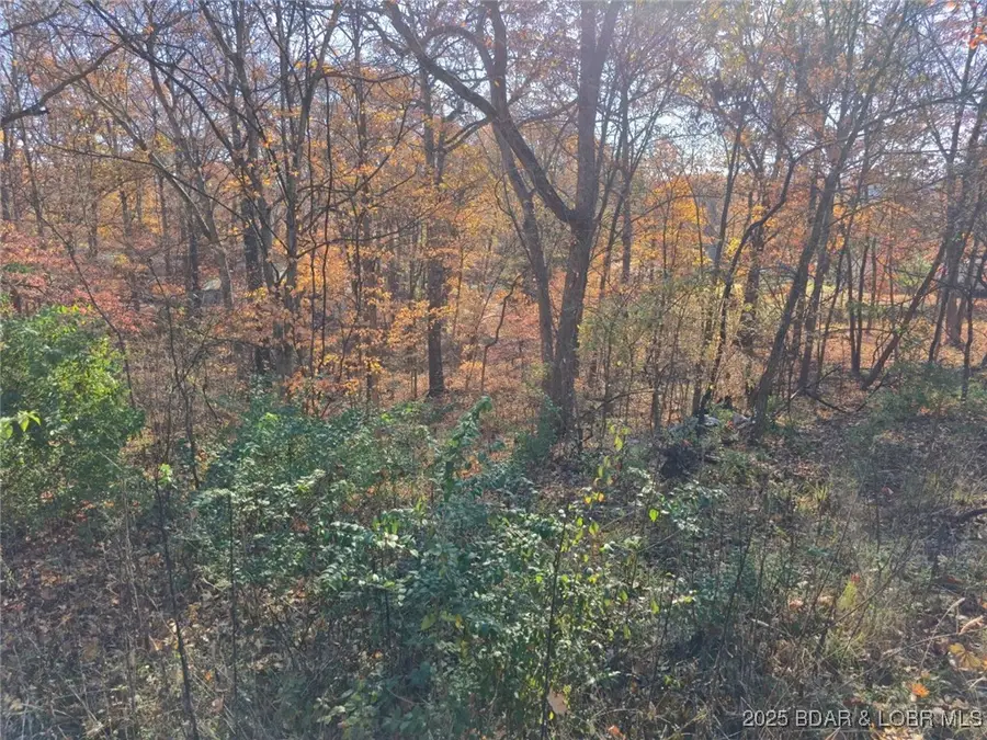 Lots 62-64 Wildwood Road, Stover, MO 65078 - Image #2