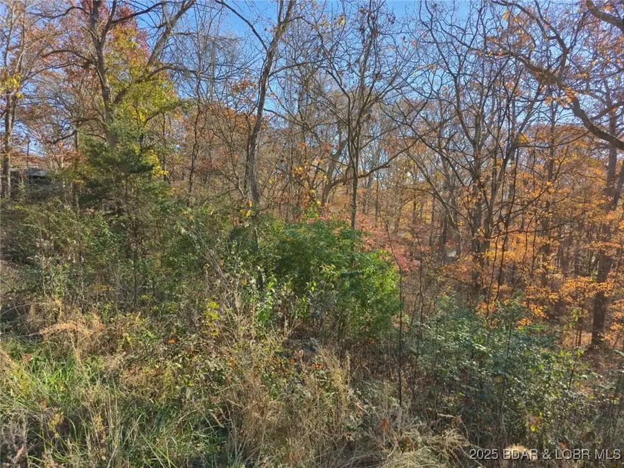 Lots 62-64 Wildwood Road, Stover, MO 65078 - Image #3