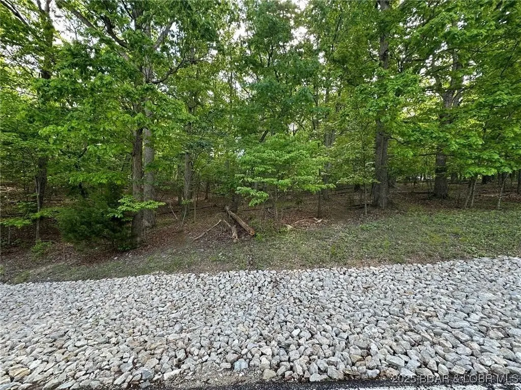 Lot 163 & 164 Imperial Point Drive, Village Of Four Seasons, MO 65048 - Image #1