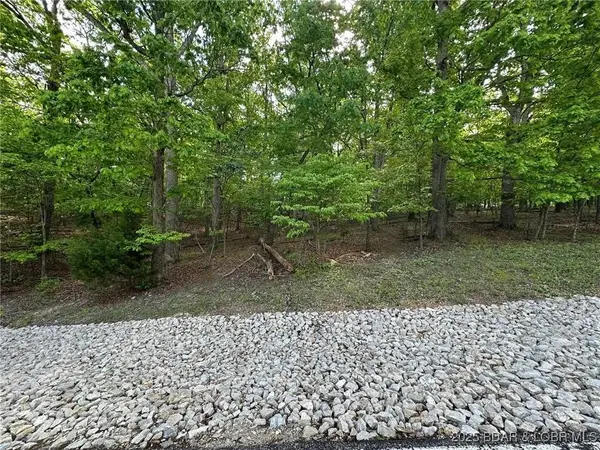 Lot 163 & 164 Imperial Point Drive, Four Seasons, MO 65048
