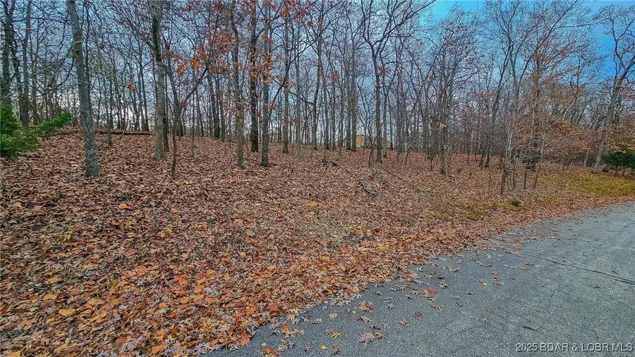 Lot #302 Lake Drive, Sunrise Beach, MO 65079 - #3