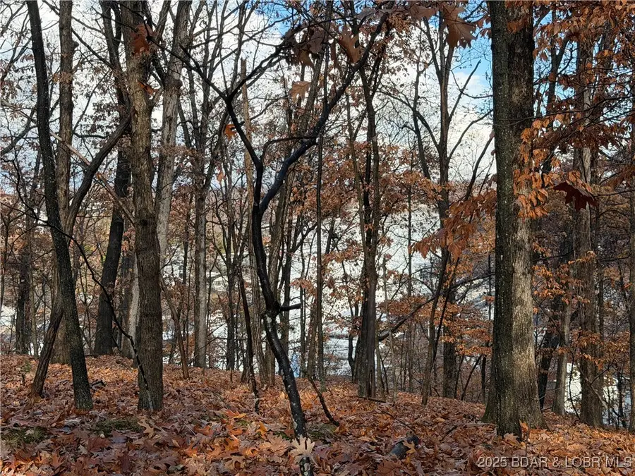 Lot 46 Carol Road, Lake Ozark, MO 65049 - Image #3
