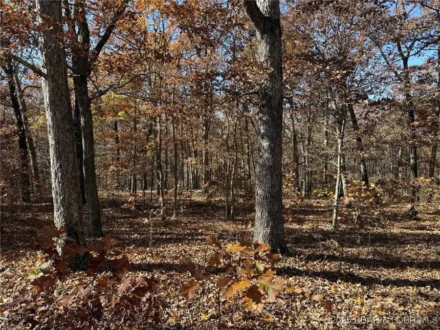 54 Acres Whitetail Way, Lincoln, MO 65338 - Image #3