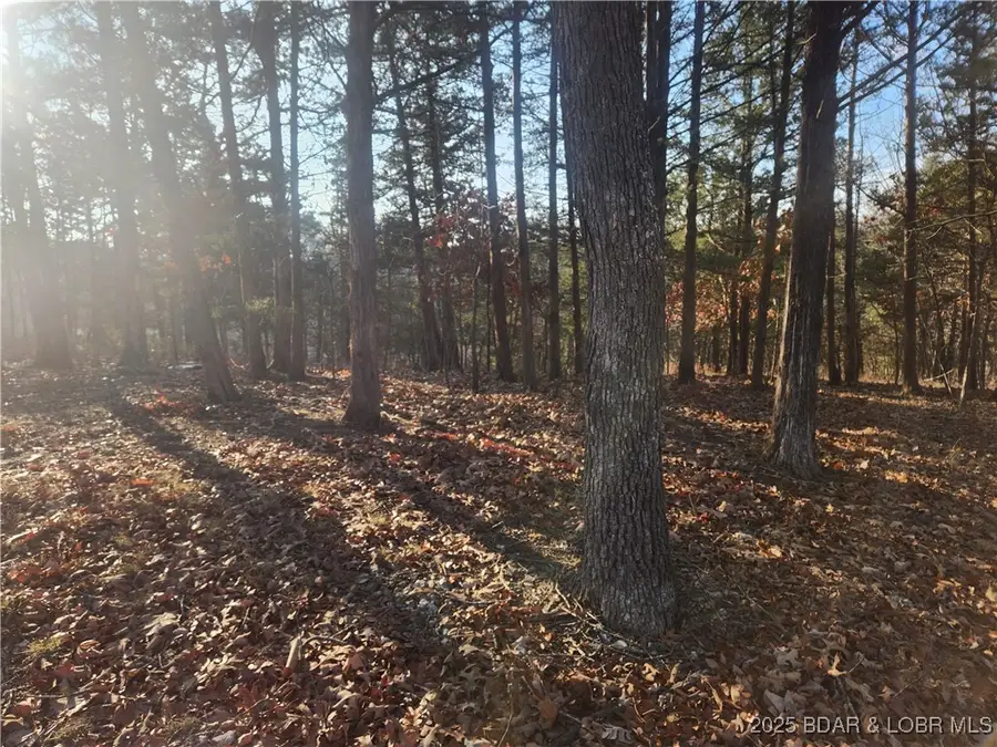 TBD West End Circle, Osage Beach, MO 65065 - Image #2