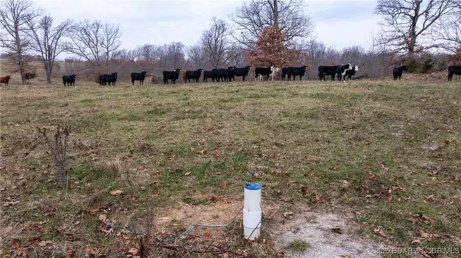 12765 Buckeye Road, Crocker, MO 65452 - Image #3